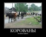 корованы мотиватор // 750x600 // 102.5KB