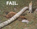 fail бобёр // 392x310 // 44.2KB