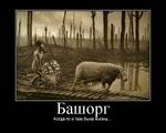 bash.org.ru мотиватор не_торт // 750x600 // 83.6KB