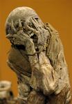 facepalm // 314x450 // 29.5KB