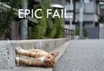fail // 360x246 // 19.2KB