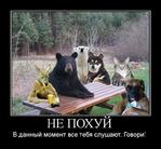 всем_похуй мотиватор // 750x694 // 93.1KB