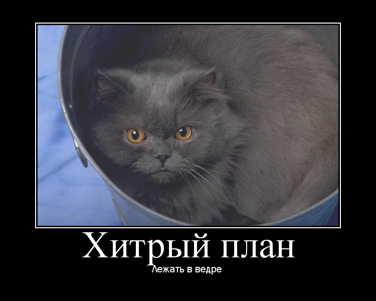 Коварный план что это
