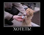 do_want кот мотиватор // 750x600 // 68.7KB