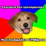 advice_dog enjoy_your_aids // 407x405 // 89.1KB