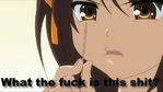 suzumiya_haruhi_no_yuuutsu wtf харухи_судзумия // 500x281 // 30.3KB