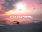 only_god_knows коробка-кун // 500x375 // 41.4KB