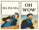 oh_wow // 500x389 // 34.0KB