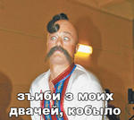 gtfo двач // 257x230 // 70.0KB