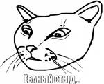 ёбаный_стыд // 600x488 // 56.9KB